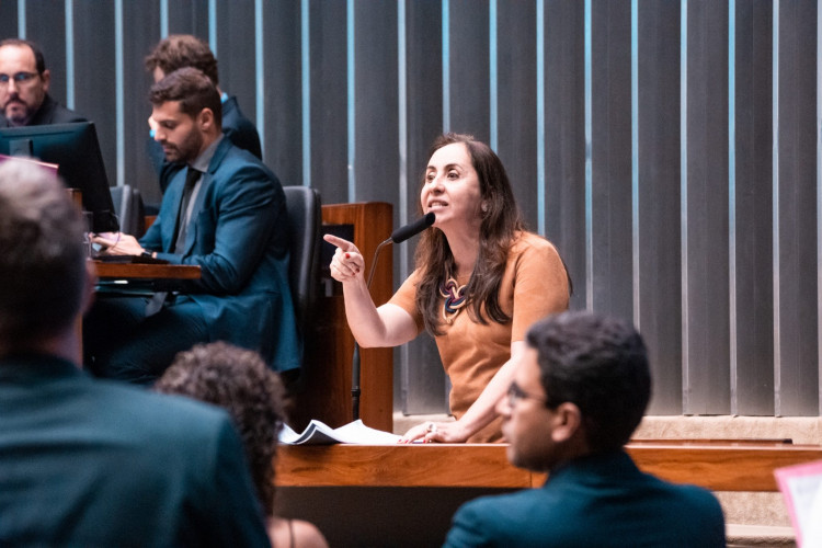 Pacote anticrime é aprovado na Câmara com apoio do NOVO Pacote anticrime é aprovado na Câmara com apoio do NOVO