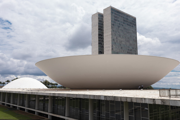 Estudos do NOVO mostram as diferenças entre setor público e privado no Brasil