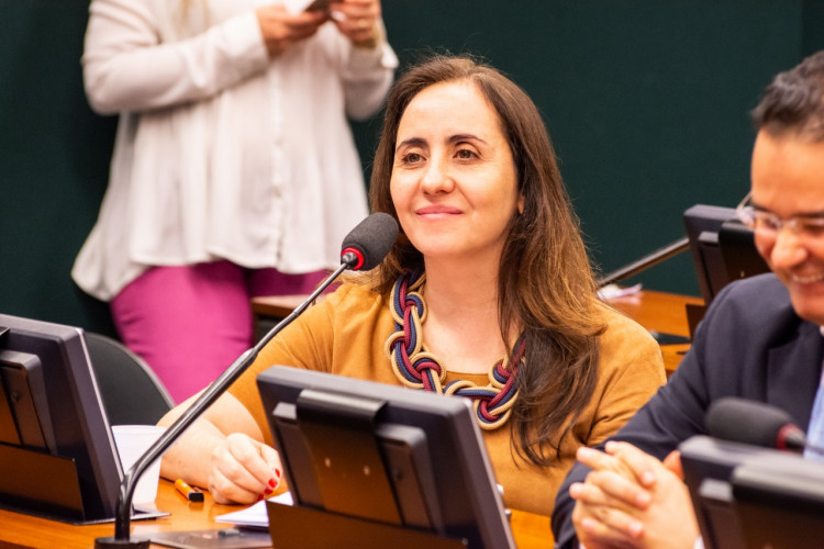 Câmara prioriza auxílio emergencial em dobro a mães chefes de família Câmara prioriza auxílio emergencial em dobro a mães chefes de família