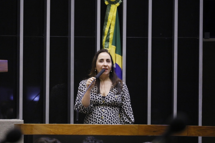 Aprovado projeto de lei que duplica pena de corrupção durante a pandemia Aprovado projeto de lei que duplica pena de corrupção durante a pandemia