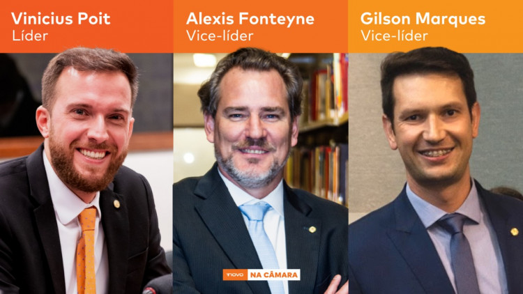 NOVO anuncia nova liderança para 2021 NOVO anuncia nova liderança para 2021