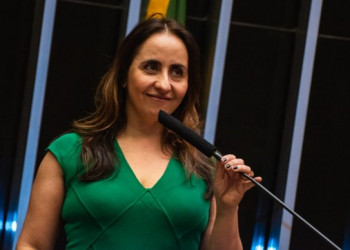 Deputada do Novo quer transparência nas emendas especiais