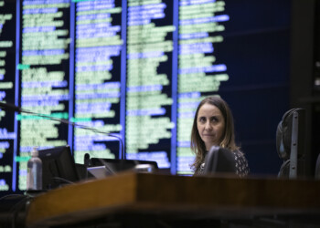 “Agora, nós é que somos a resistência” entrevista com Adriana Ventura (NOVO-SP)