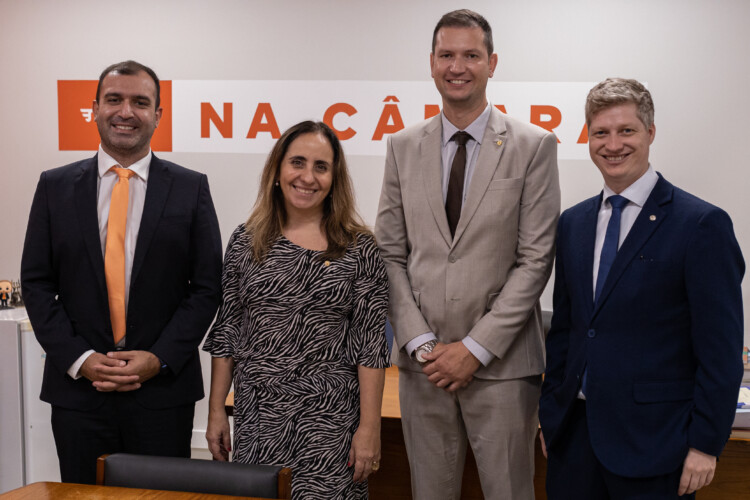 NOVO pede investigação sobre uso político da presidência da Conab NOVO pede investigação sobre uso político da presidência da Conab