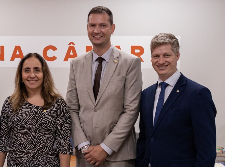 Deputados pedem informações sobre o DPVAT Deputados pedem informações sobre o DPVAT