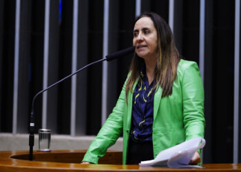 Comissão aprova manutenção de dados de gestões anteriores como diretriz da Lei de Acesso à Informação
