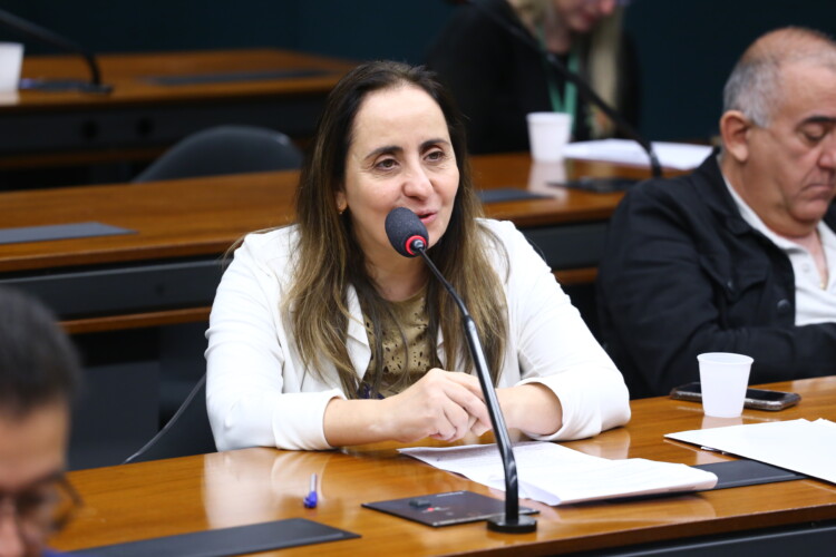 Prontuário Eletrônico Único é prioridade para o próximo semestre, garante relatora Prontuário Eletrônico Único é prioridade para o próximo semestre, garante relatora