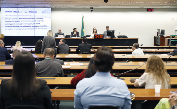 Bancada do NOVO lança painel que ajuda na fiscalização das emendas PIX Bancada do NOVO lança painel que ajuda na fiscalização das emendas PIX