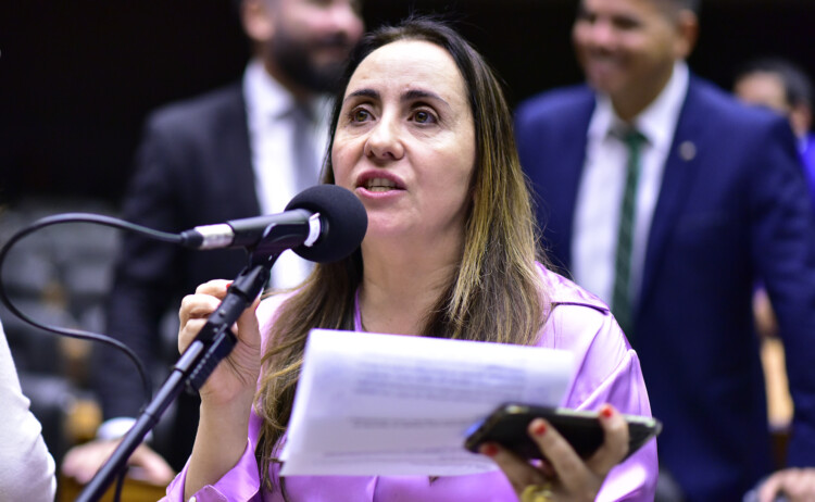 ‘É normalizar o absurdo’, diz deputada do NOVO sobre PEC da Anistia