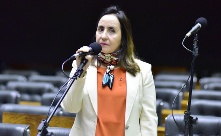 Para oposição, debate sobre fake news esconde “interesses perversos”