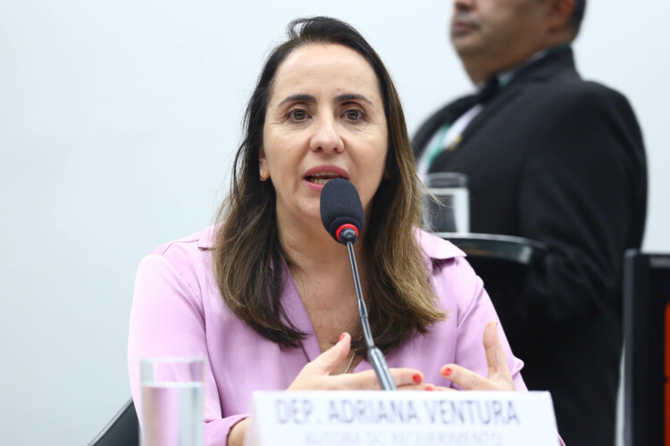 ‘Retrocesso absurdo’, diz deputada sobre minirreforma eleitoral ‘Retrocesso absurdo’, diz deputada sobre minirreforma eleitoral