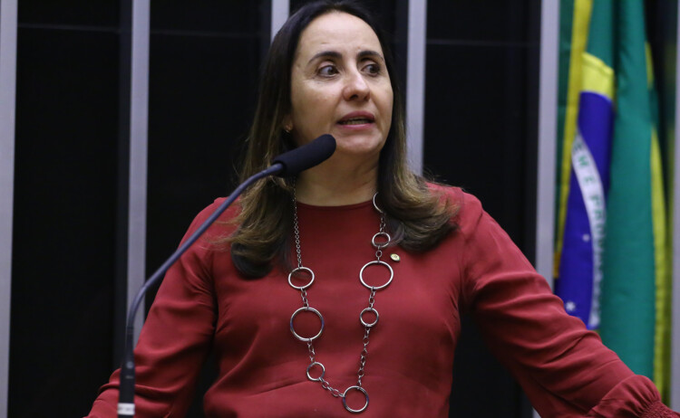 “Autoanistia é uma pouca-vergonha”, diz líder do NOVO, Adriana Ventura “Autoanistia é uma pouca-vergonha”, diz líder do NOVO, Adriana Ventura