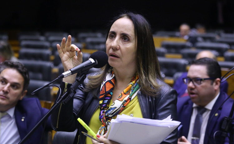 Comissão aprova processo seletivo simplificado para professor temporário da educação básica