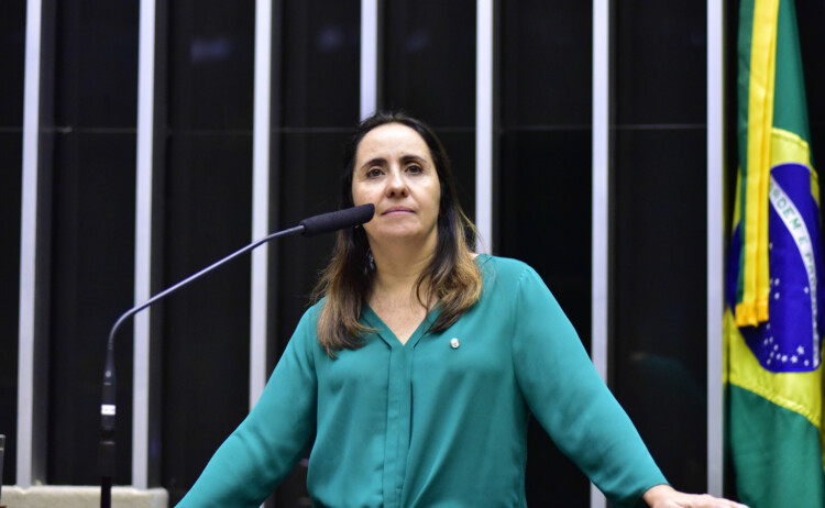 “Reforma aprovada no Senado foi vítima de lobbies”, diz líder do Novo na Câmara “Reforma aprovada no Senado foi vítima de lobbies”, diz líder do Novo na Câmara