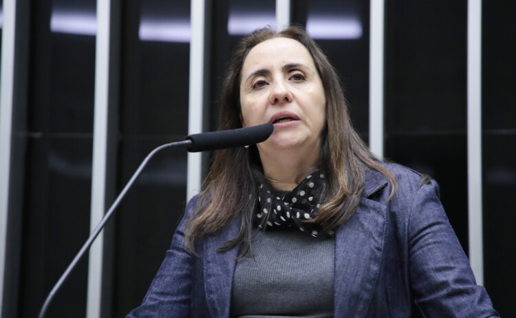 Divulgação de dados de avaliações e censos escolares volta à Câmara Divulgação de dados de avaliações e censos escolares volta à Câmara