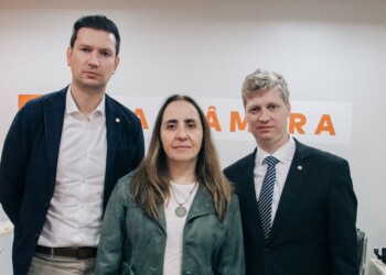 Novo aciona TCU e Justiça para barrar importação de 300 toneladas de arroz