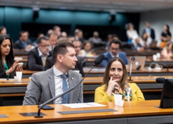 Com Atuação do NOVO, PEC da Anistia é Retirada de Pauta