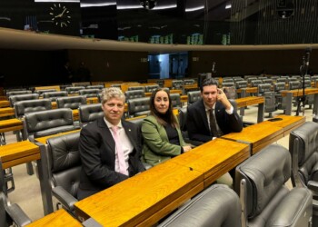 Com Atuação do NOVO, PEC da Anistia é Retirada de Pauta