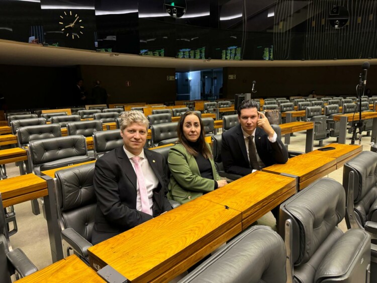 Com Atuação do NOVO, PEC da Anistia é Retirada de Pauta Com Atuação do NOVO, PEC da Anistia é Retirada de Pauta