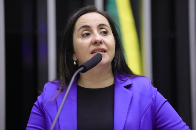Câmara discute projeto do NOVO para suspender regulamentação da lei de igualdade salarial Câmara discute projeto do NOVO para suspender regulamentação da lei de igualdade salarial