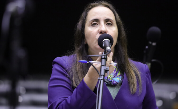 PEC da Anistia: NOVO é um dos únicos partidos sem dívidas com a União PEC da Anistia: NOVO é um dos únicos partidos sem dívidas com a União