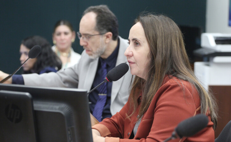 Proposta de aliado de Dino para emendas ajuda governo e não garante transparência Proposta de aliado de Dino para emendas ajuda governo e não garante transparência