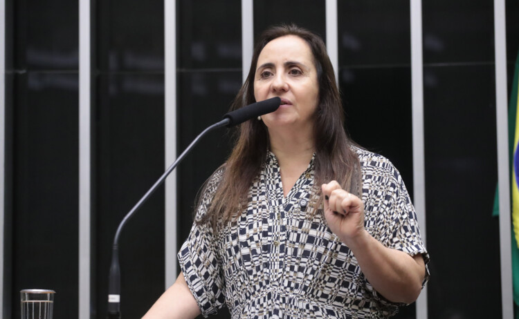 Deputada do NOVO quer proibir governo de contratar ONGs sem licitação para distribuir marmitas Deputada do NOVO quer proibir governo de contratar ONGs sem licitação para distribuir marmitas