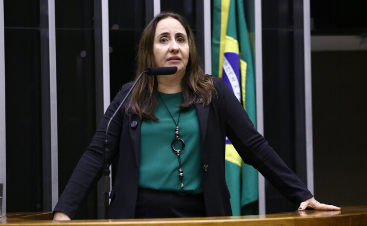 Câmara aprova projeto que prorroga prazos para Restos a Pagar Não Processados Câmara aprova projeto que prorroga prazos para Restos a Pagar Não Processados