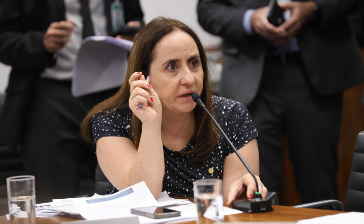 NOVO protocola PEC para que TCU fiscalize Itaipu e usina se enquadre na Lei das Estatais